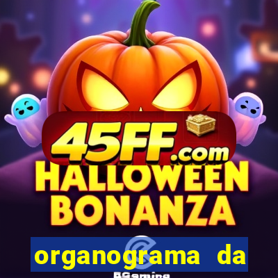 organograma da cacau show